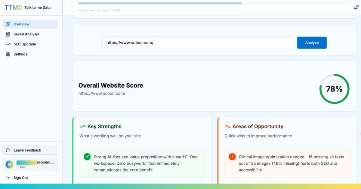 Talk to me Data AI Conversion Analysis Report Screenshot